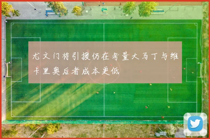 尤文门将引援仍在考量大马丁与维卡里奥后者成本更低
